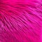 1 Yard 100% POLYESTER Shaggy Long Pile Faux Fur Fabric 4" Pile, 60" Width
